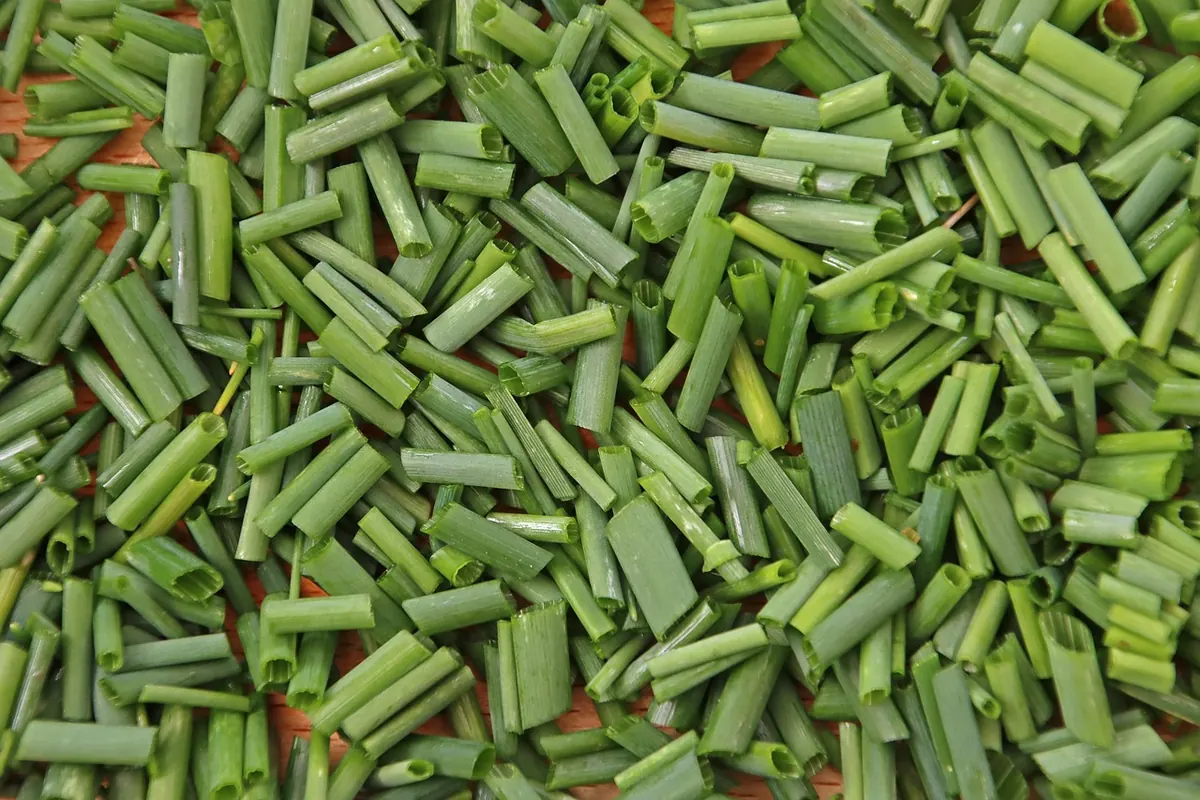 The Real Cost of a Kitchen Herb Garden: Seeds vs Plug Plants vs Supermarket Pots